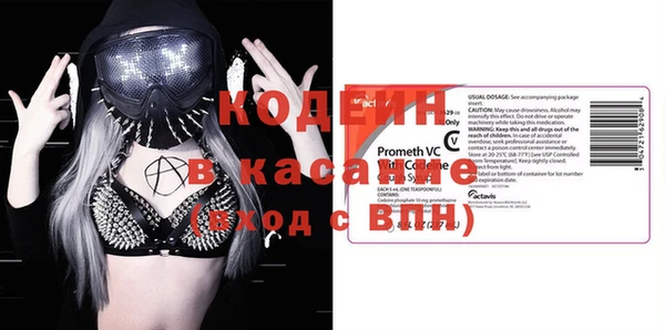 эйфоретик Няндома