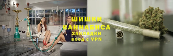 эйфоретик Няндома