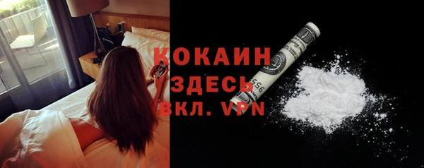 эйфоретик Няндома