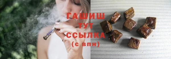 эйфоретик Няндома