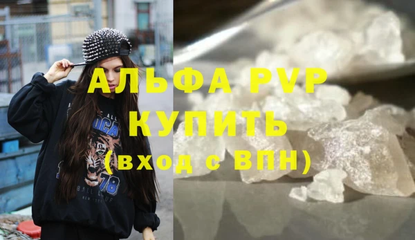 эйфоретик Няндома