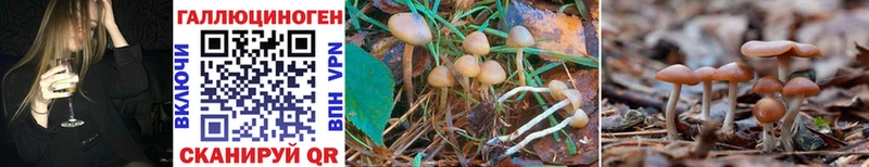 Псилоцибиновые грибы Magic Shrooms Лосино-Петровский